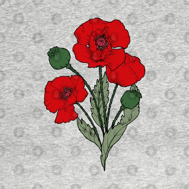 Drawing of a poppy by senkova